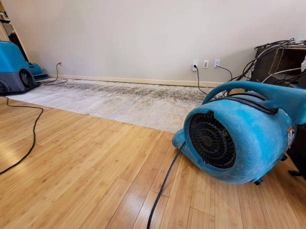 Professional Flood Damage Cleanup technician working in Clinton, AR